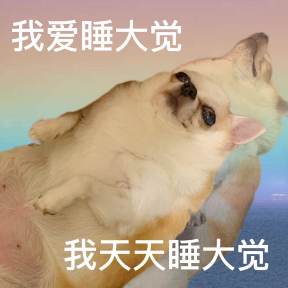 转微博