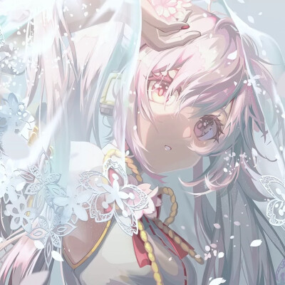 女漫/樱初音
（侵权删）