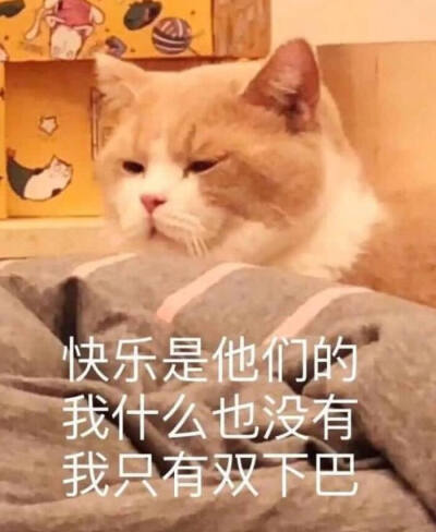 表情包