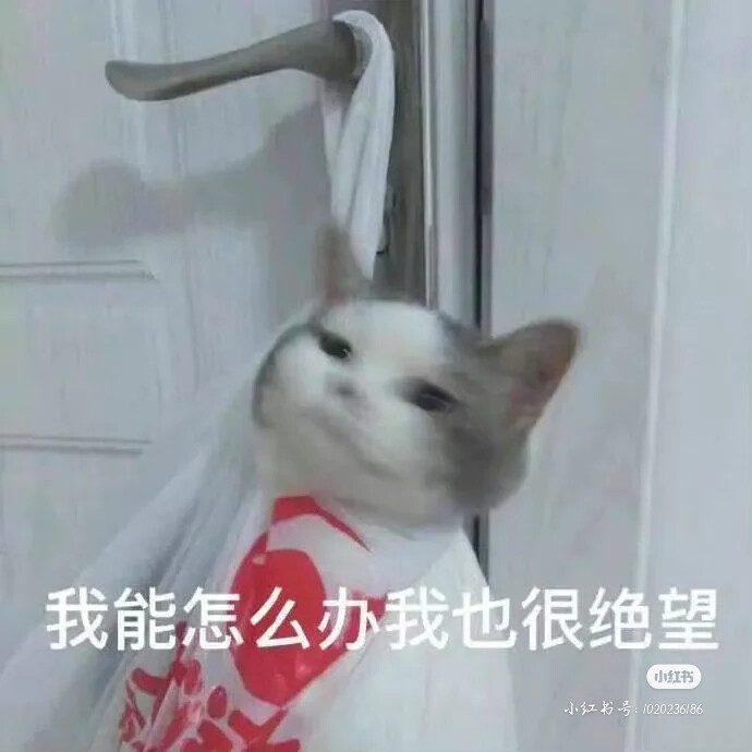 表情包