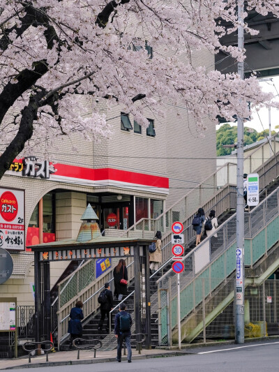 只有日本