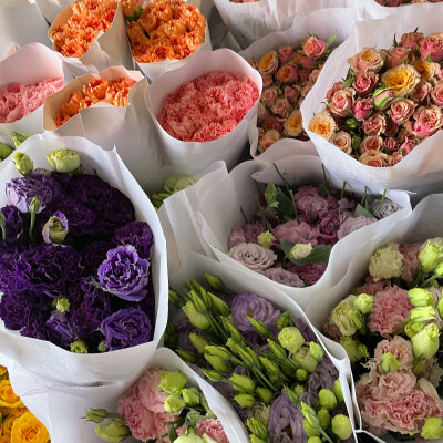 鲜花背景图