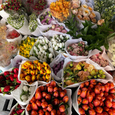 鲜花背景图