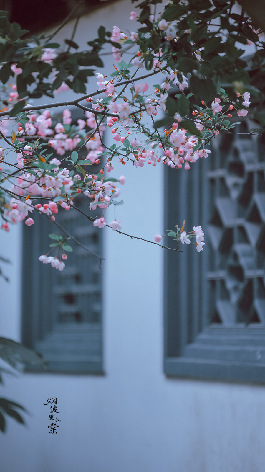 春去秋来，海棠花开，你是否已经化作风雨，穿越时空来到这里
——《大鱼・海棠》
晚安.