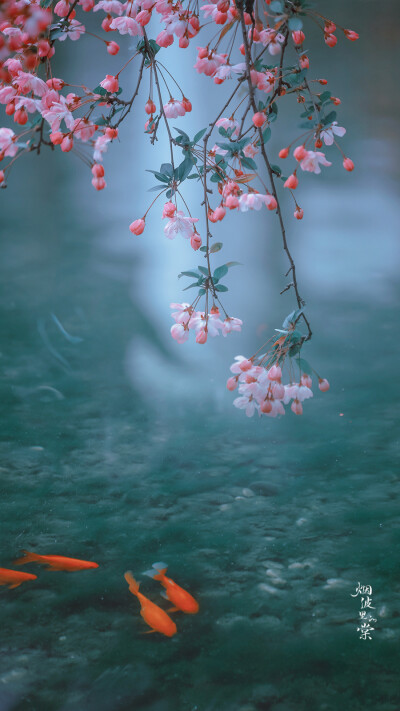 春去秋来，海棠花开，你是否已经化作风雨，穿越时空来到这里
——《大鱼・海棠》
晚安.