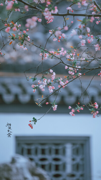 春去秋来，海棠花开，你是否已经化作风雨，穿越时空来到这里
——《大鱼・海棠》
晚安.