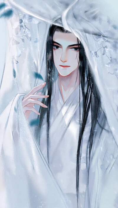 《二哈和他的白猫师尊》