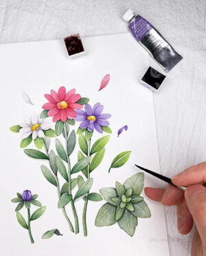     简单又精致的植物水彩 mia韩国水彩画家    INS：@by-mia-illust         