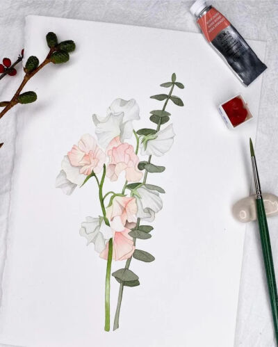  简单又精致的植物水彩 mia韩国水彩画家 INS：@by-mia-illust 