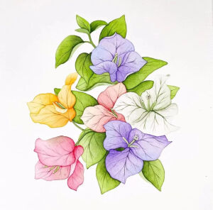   简单又精致的植物水彩 mia韩国水彩画家    INS：@by-mia-illust       