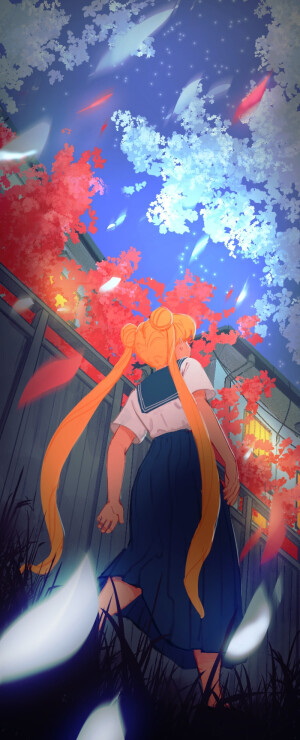 美少女战士/百变小樱