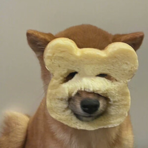 「 面包狗头像 」´•ᴥ•` ​​​