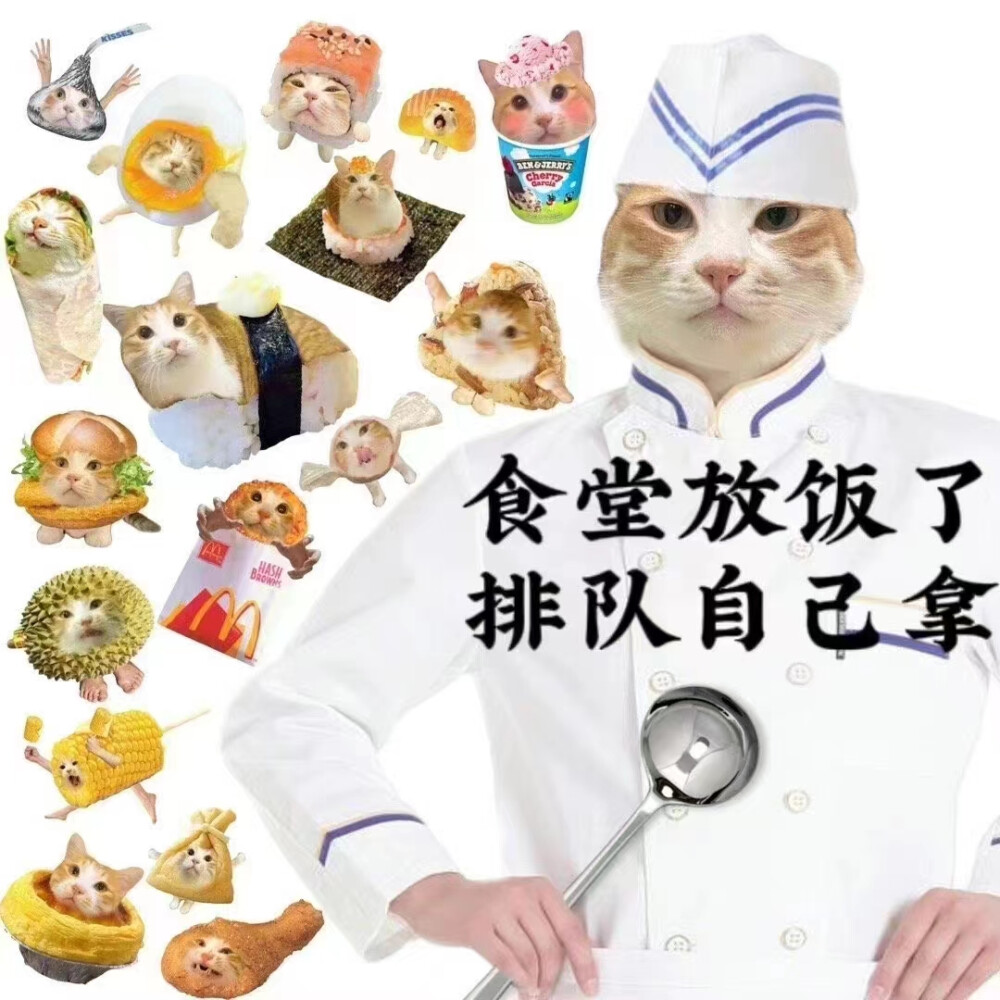 如果我变成猫猫头，那你还会爱我吗？