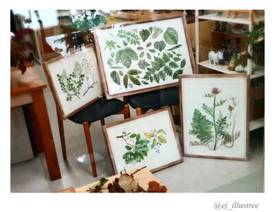植物艺术家 EJ 韩国美女艺术家 INS:@ ej-illustree