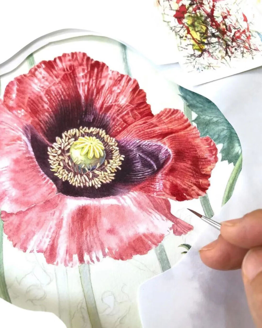 植物艺术家 EJ 韩国美女艺术家 INS:@ ej-illustree