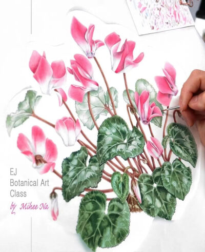 植物艺术家 EJ 韩国美女艺术家
INS:@ ej-illustree