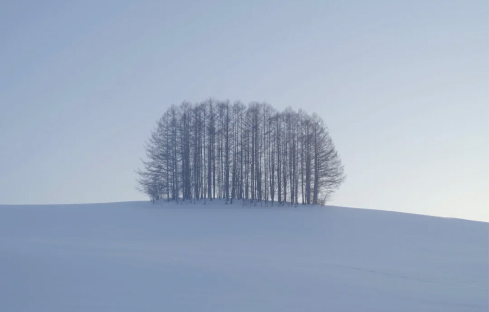 雪地里相爱 他们说零下已结晶的誓言不会坏