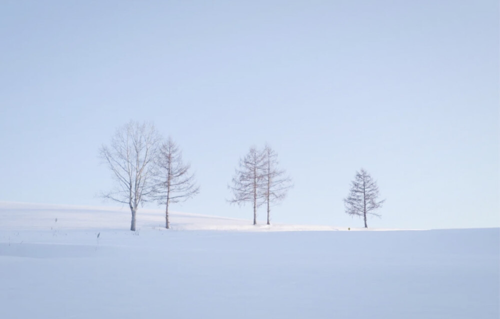 雪地里相爱 他们说零下已结晶的誓言不会坏