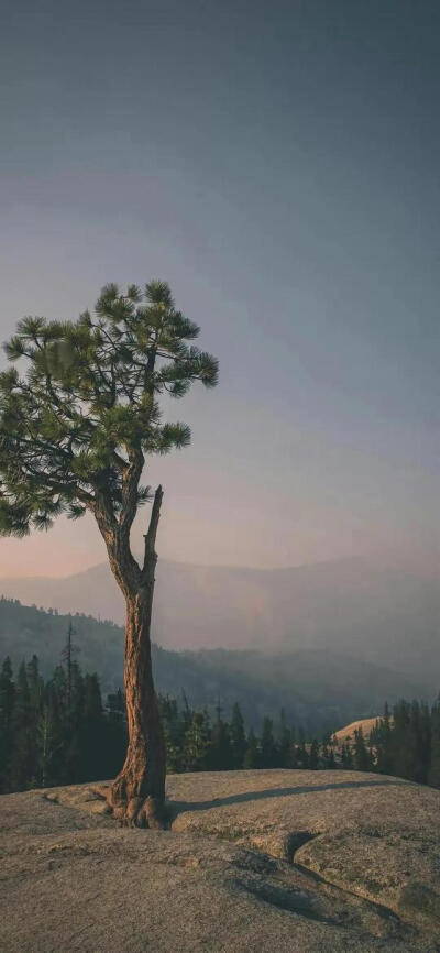 风景~壁纸