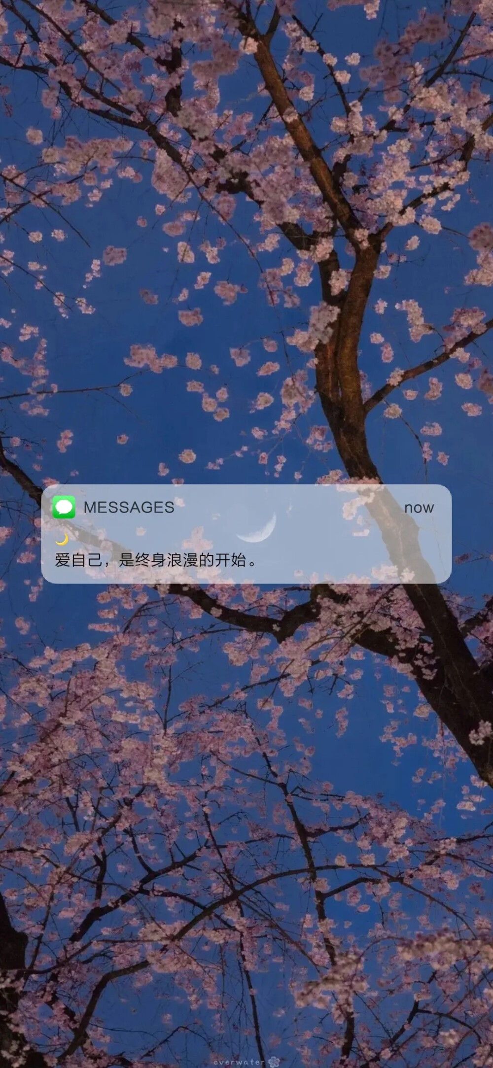 message 壁纸♥
“但愿日子清透，抬眼皆是柔情。”
抱图点赞吱声哦~
（侵权删）