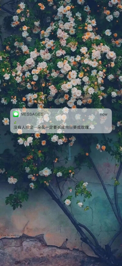 message 壁纸?
“但愿日子清透，抬眼皆是柔情。”
抱图点赞吱声哦~
（侵权删）