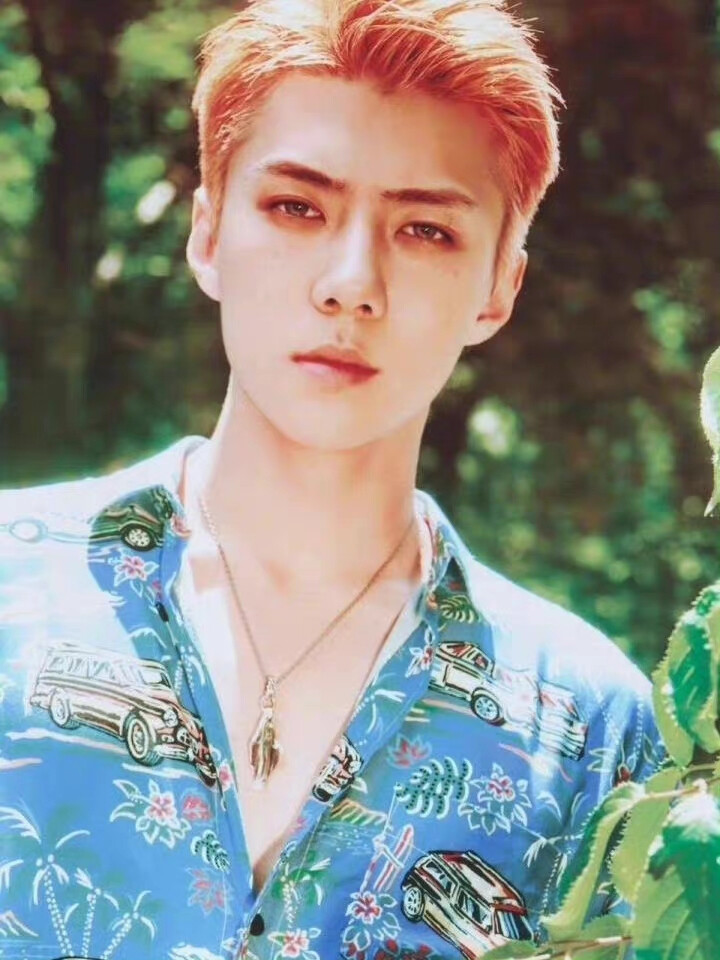 吴世勋 SEHUN