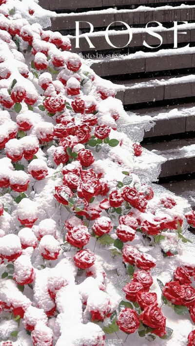 壁纸 朋友圈背景图