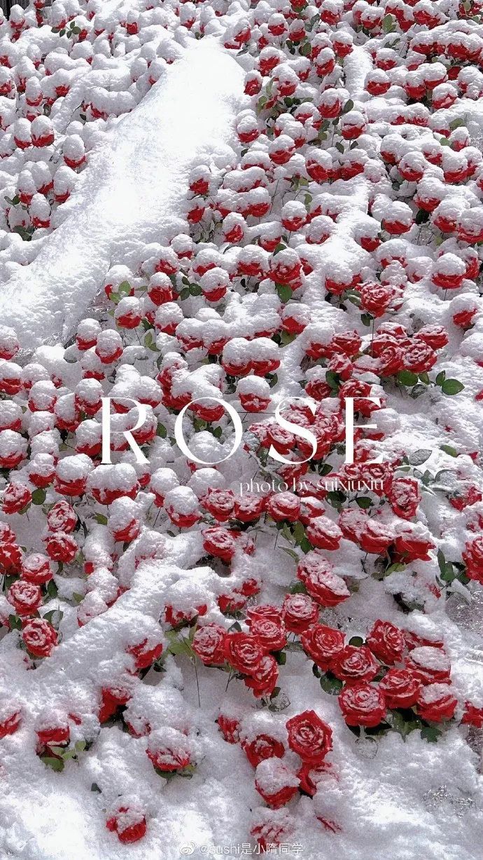 壁纸 朋友圈背景图