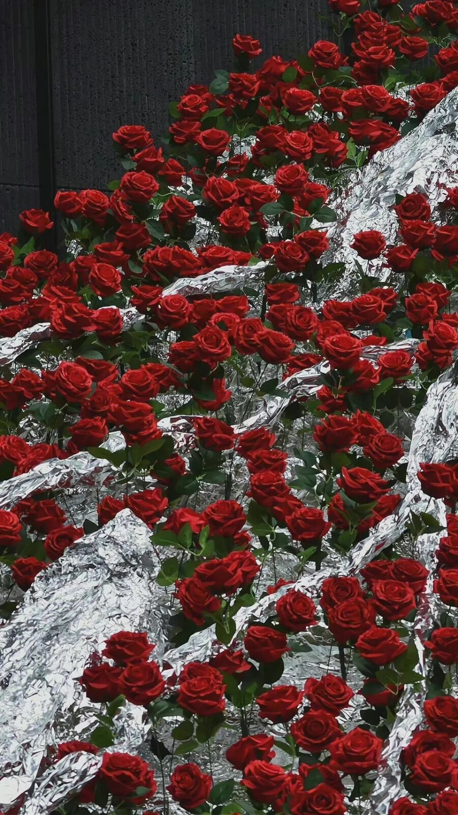 壁纸 朋友圈背景图