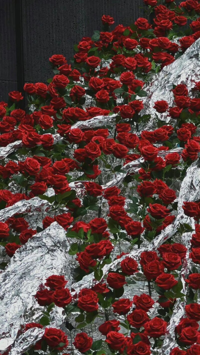 壁纸 朋友圈背景图