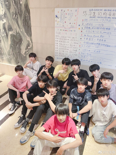 tf家族