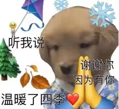 表情包