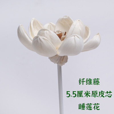 网红花露水香薰棒 纤维藤 通草花香水散香器 扩香花 精油挥发工具