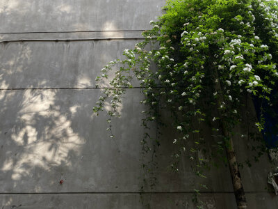 女头
