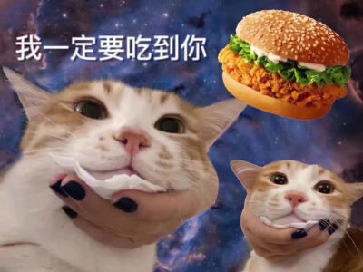 俺滴私藏