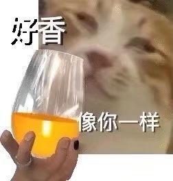 俺滴私藏