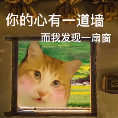 俺滴私藏