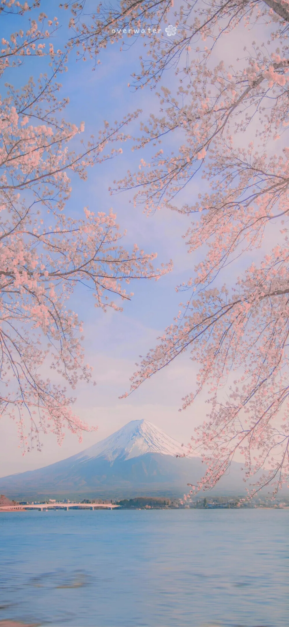 都是风景，幸会。