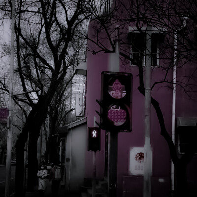 ✿ wonS2_loev