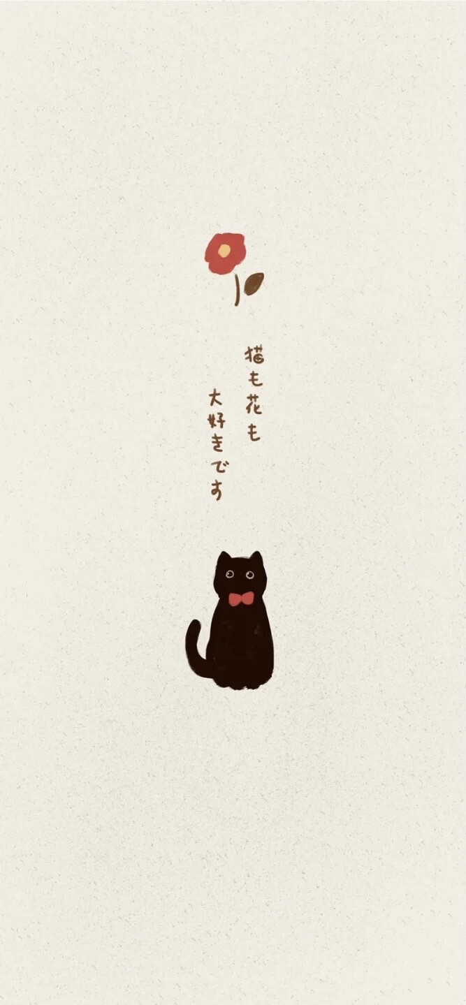 猫猫壁纸