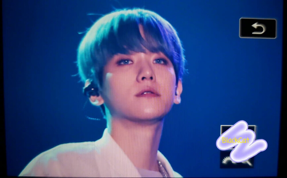 美人皮下美人骨