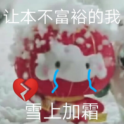 雪容融表情包