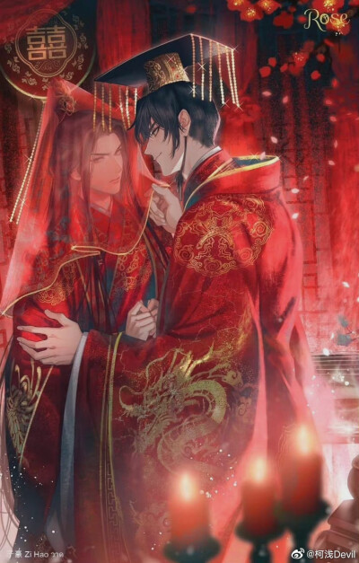 《二哈和他的白猫师尊》