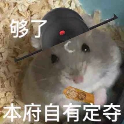 猹
表情包