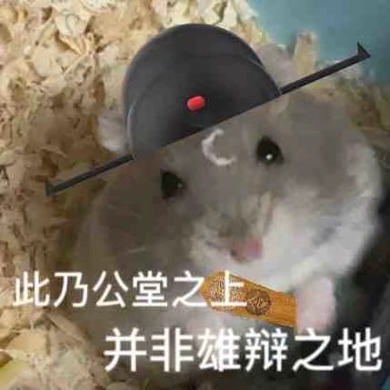 猹
表情包