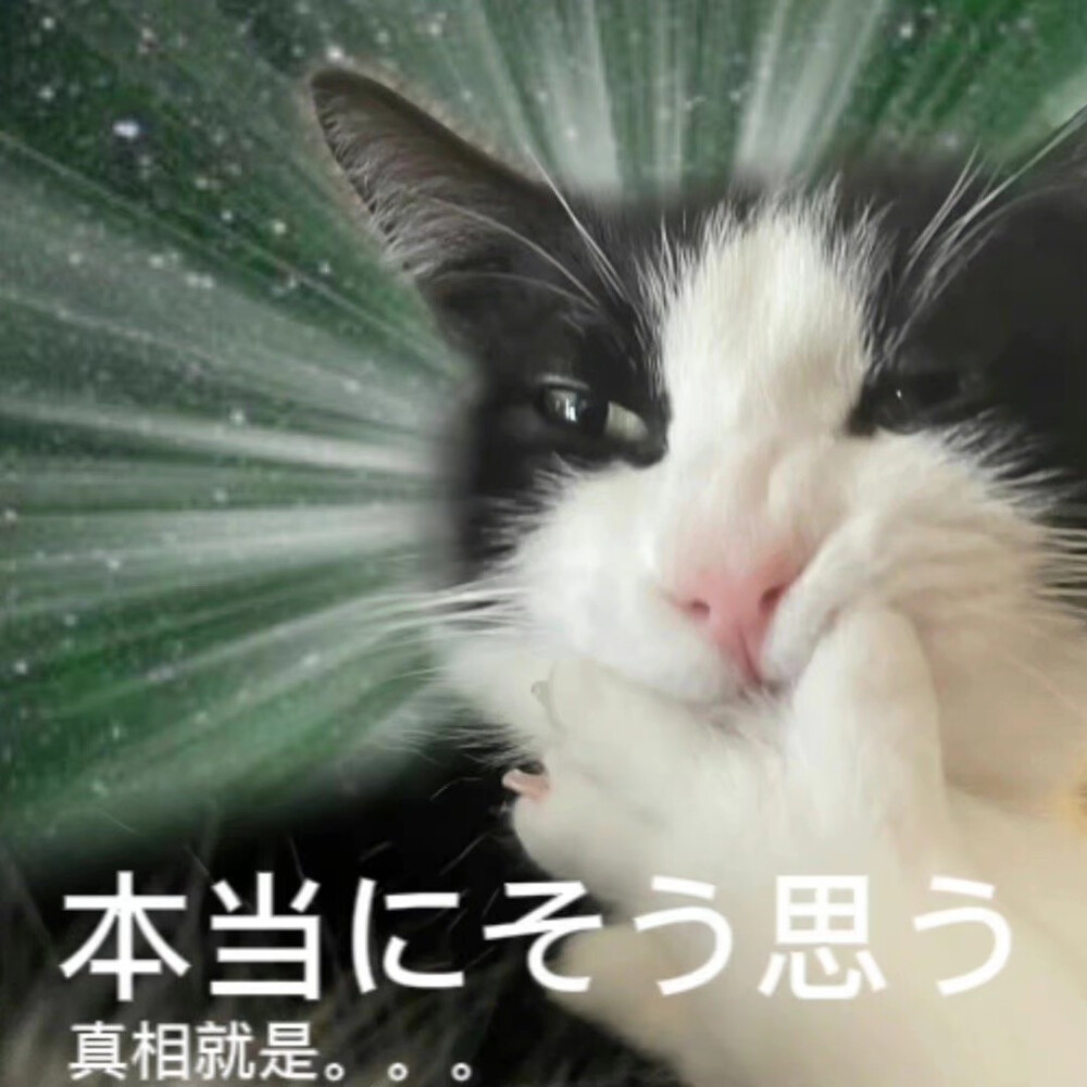 猹
表情包