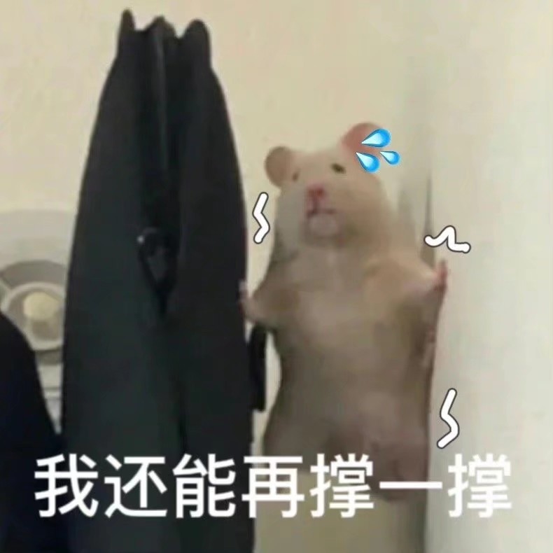 猹
表情包