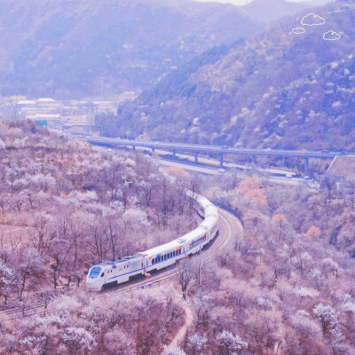 春日，列车，花海
治愈系壁纸
