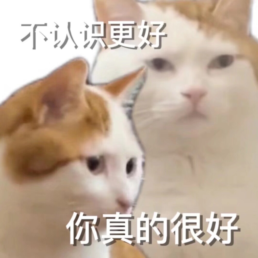 猫猫狗狗表情包