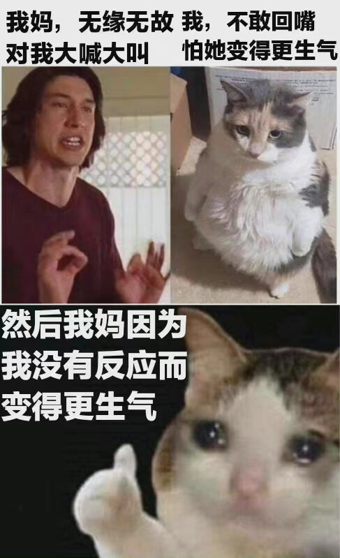 傻